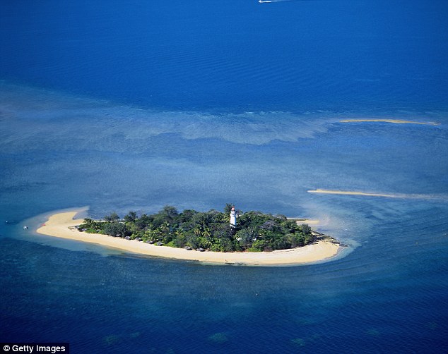 澳洲大堡礁度假岛屿闹鼠患 暂停接待游客