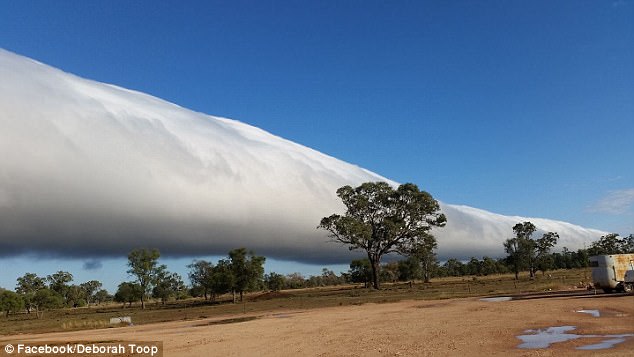 超级罕见！澳洲惊现奇异卷轴云