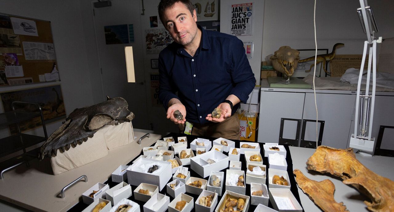 维州科学家收集大量“奇异”齿鲸化石