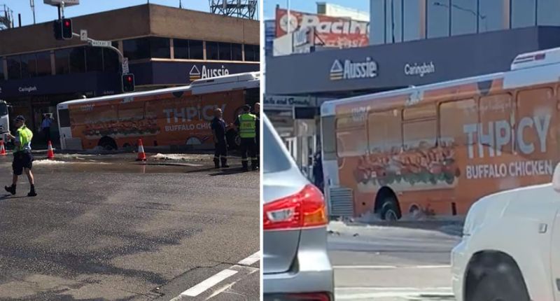 悉尼繁忙道路突发塌陷 公交车陷入坑中