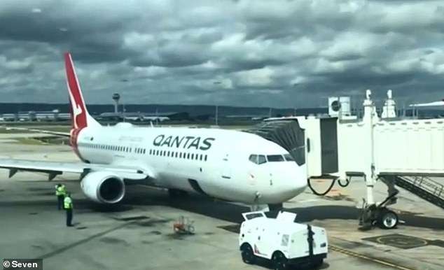 澳航客机撞上群鸟 紧急迫降珀斯机场
